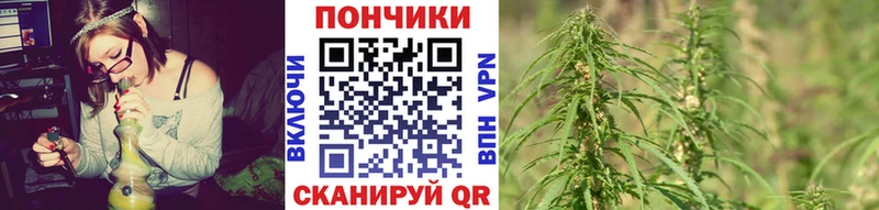 Купить наркотик Сертолово ГАШ Галлюциногенные грибы Меф КОКАИН APVP