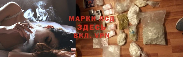 сатива Новокубанск
