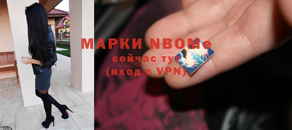 сатива Новокубанск