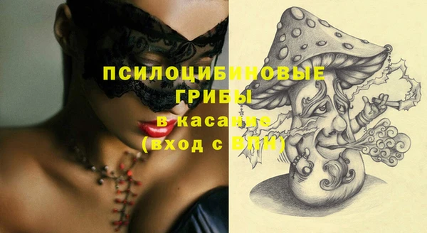 сатива Новокубанск