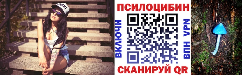 Псилоцибиновые грибы мицелий  Сертолово 