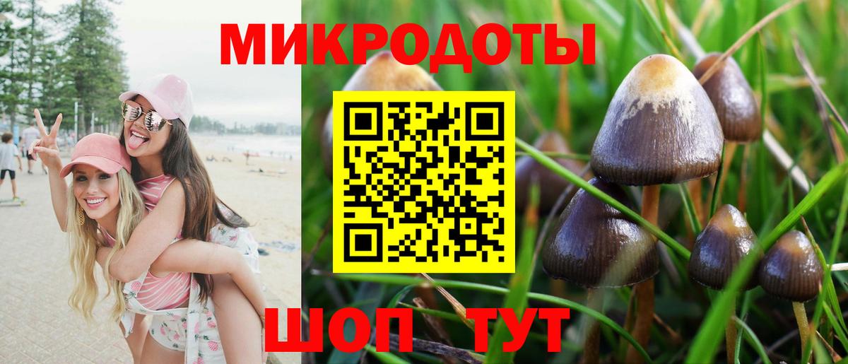 Галлюциногенные грибы Psilocybe  Псилоцибиновые грибы мицелий  купить  сайты  Вход с VPN  Сертолово 