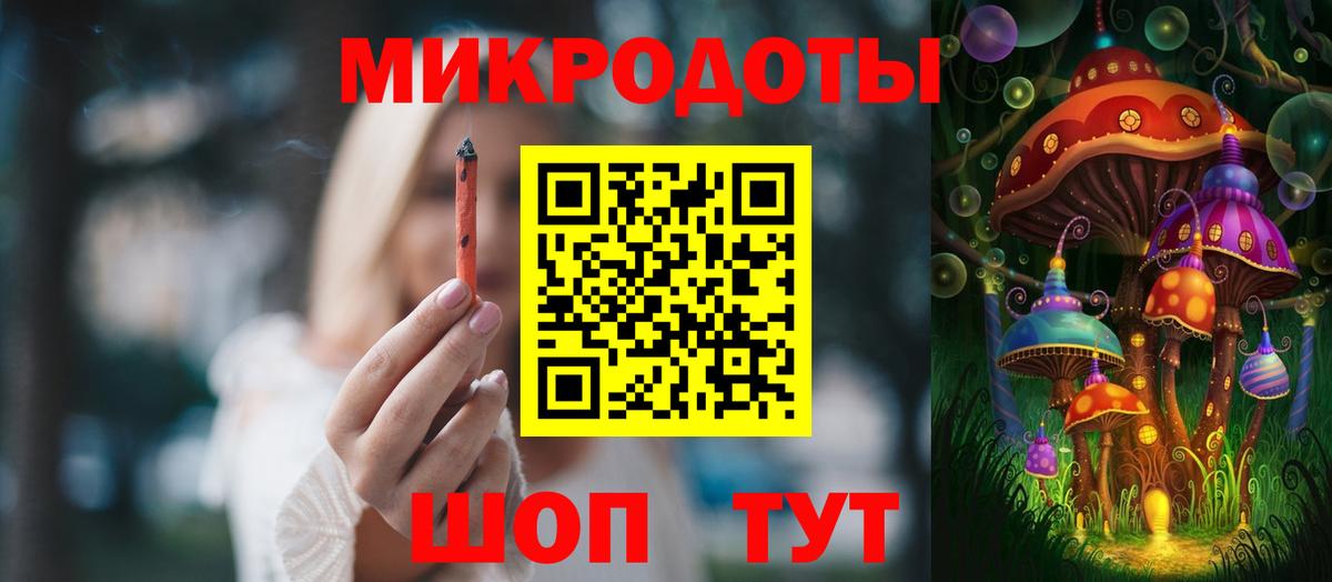 Галлюциногенные грибы Psilocybine cubensis Сертолово