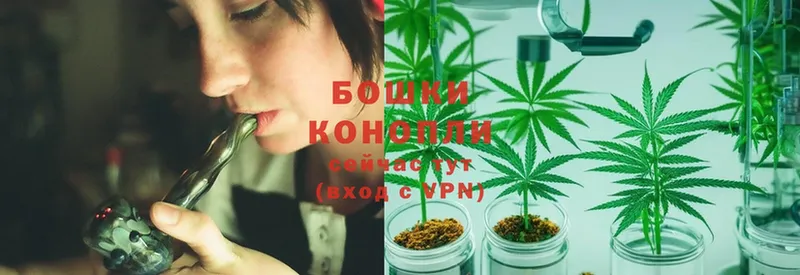 МАРИХУАНА SATIVA & INDICA  Сертолово 